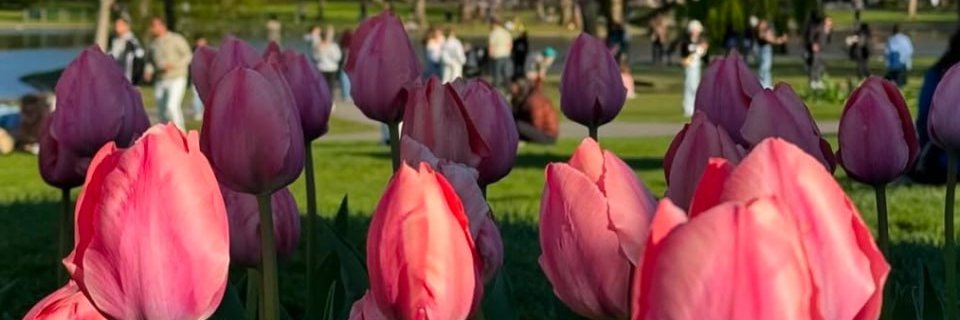 hanee342's profile banner image