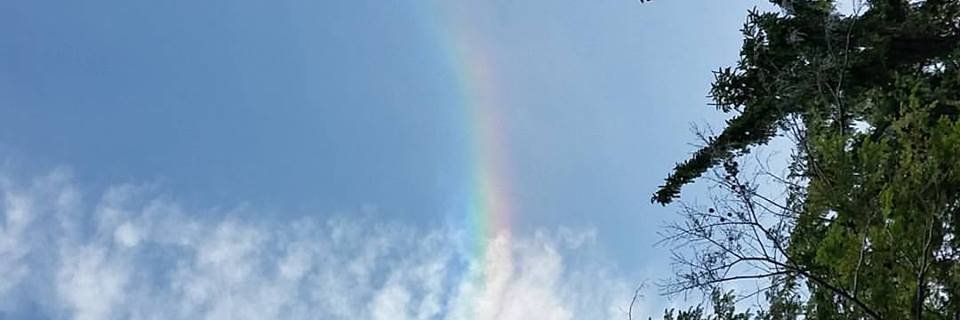 some1youknow's profile banner image