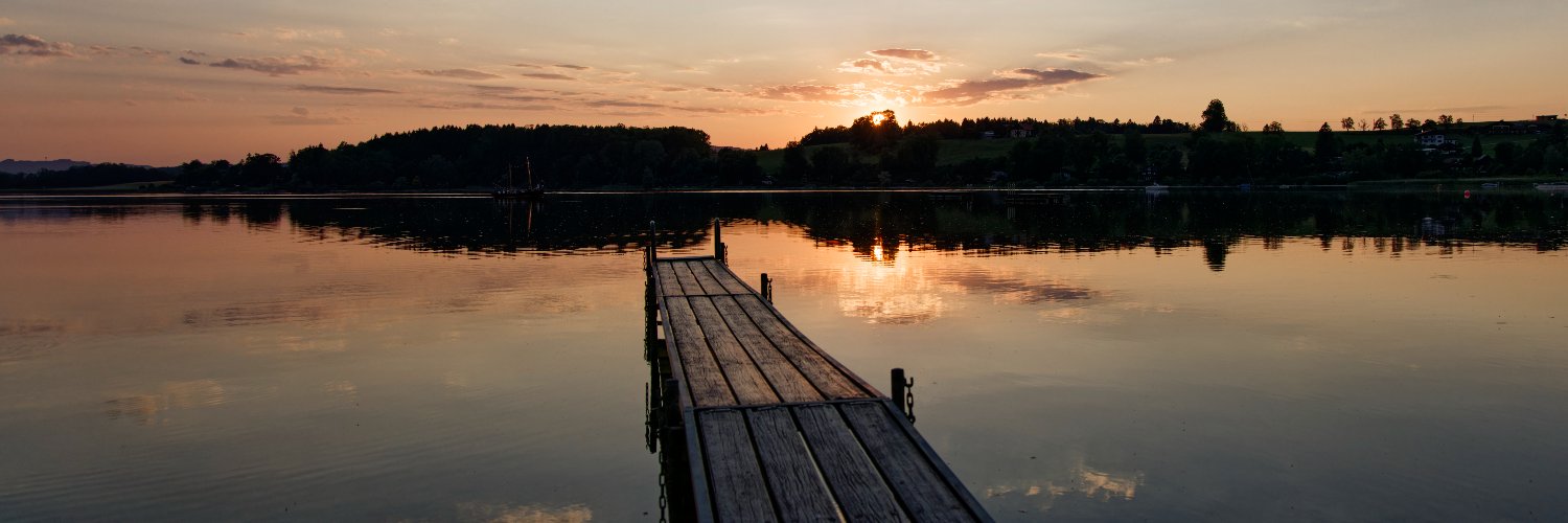 Manfred Pohler 📯🕊️🇺🇦 💉🇪🇺 banner