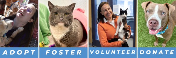 CASPCA Profile Banner