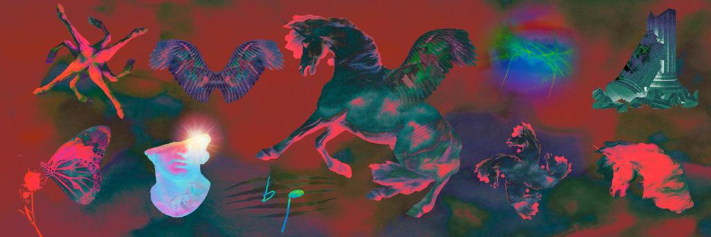 nmenapolo's profile banner image