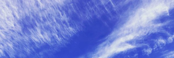 PamelaKanellis Profile Banner