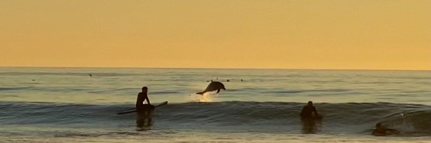 bardo_LA's profile banner image