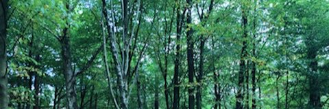 HLC💙🇺🇦🇪🇺#FBPE #FBPA #RejoinEU #SayNoToRacism banner