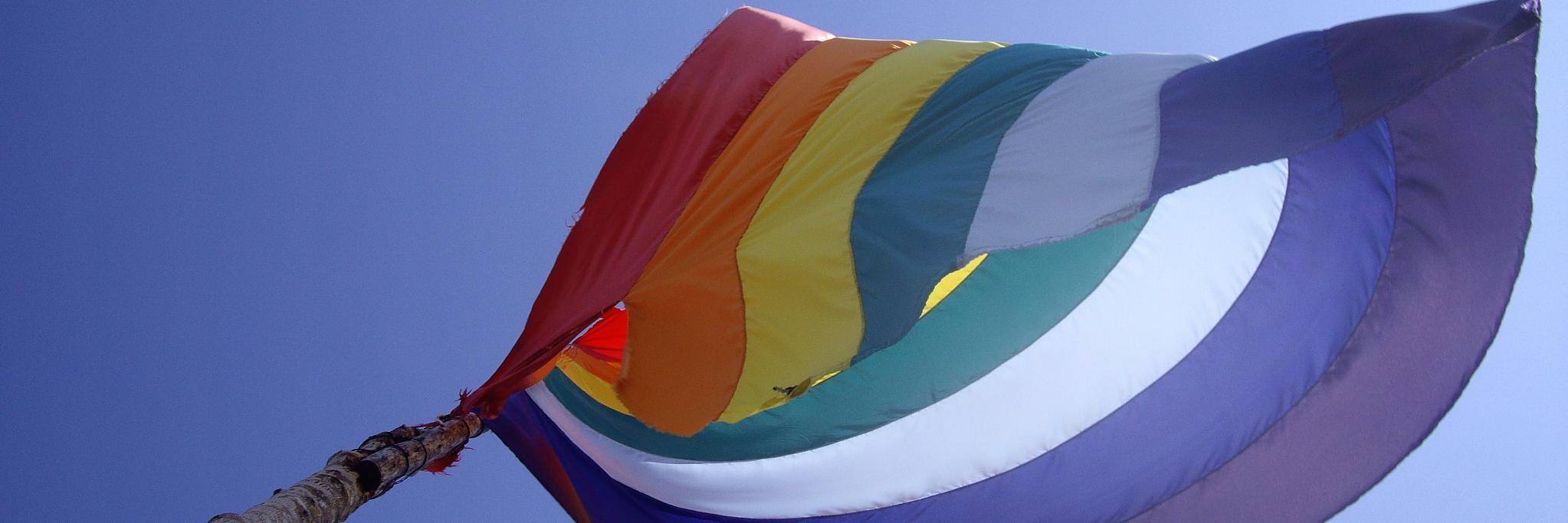 tvidal banner
