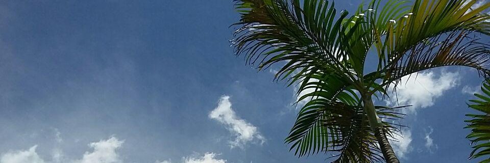 vicente1064's profile banner image