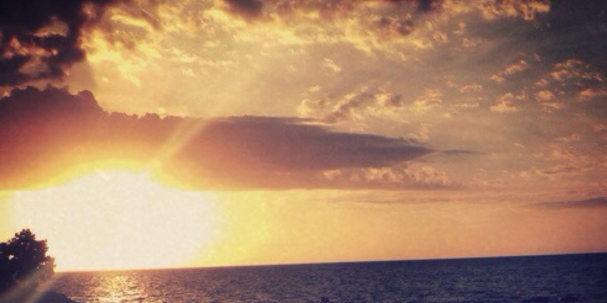lauranicolev's profile banner image