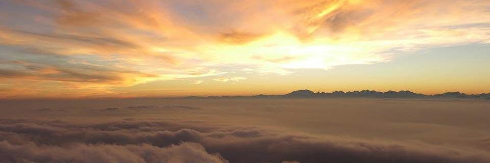 simocasti's profile banner image
