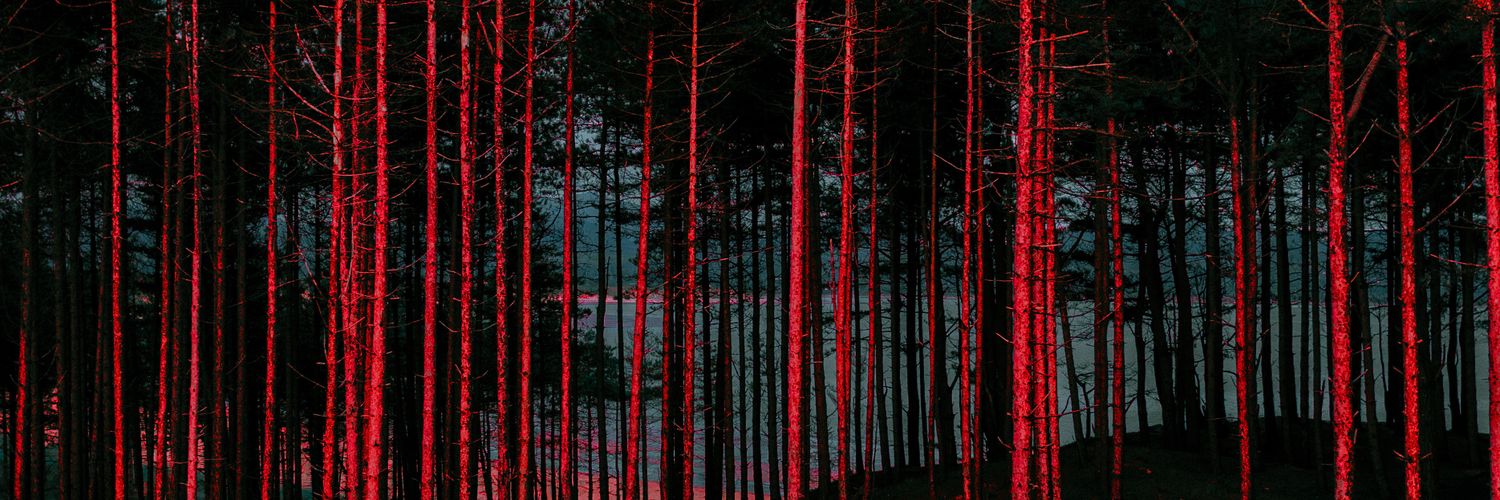 Stuart Peach 📸 banner