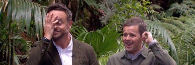 antanddec_react's profile banner image
