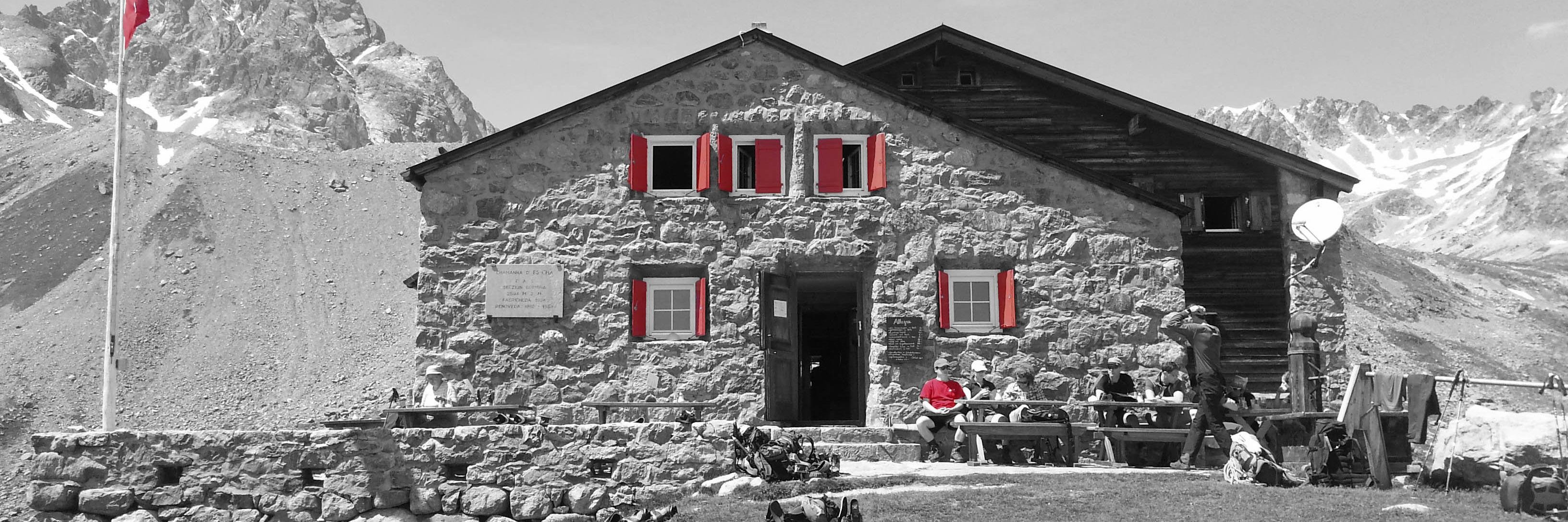 Bernadette Bisculm banner