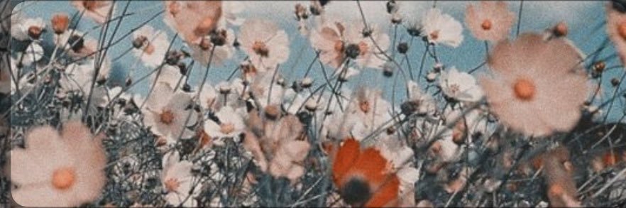 kaaateeelyyyn's profile banner image
