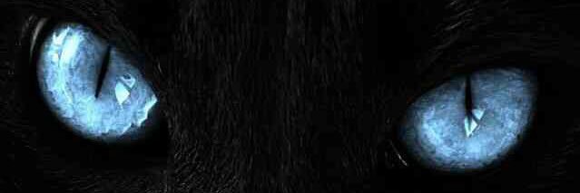 polcui1's profile banner image