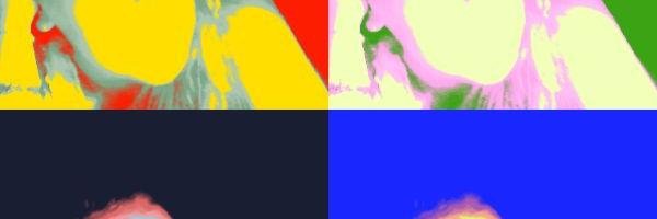 gaiaperozzo's profile banner image