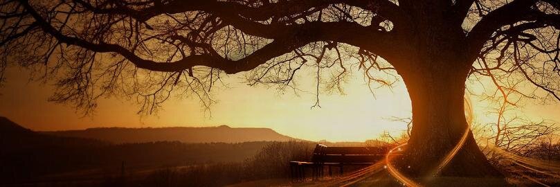 Григорьева Наталия banner