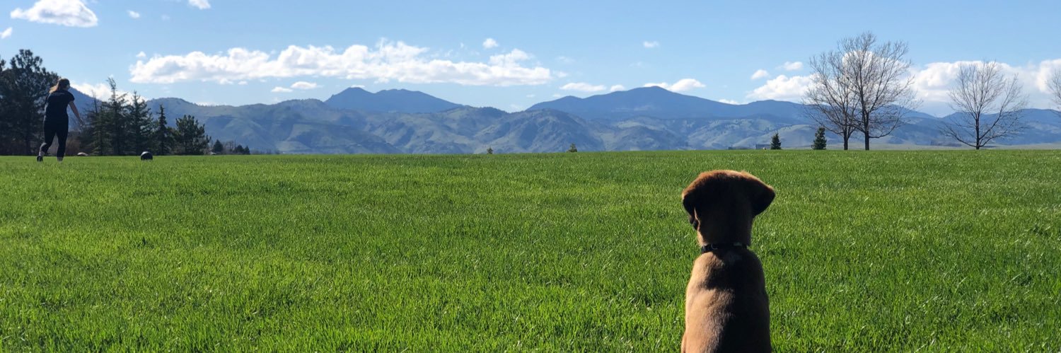 Bayley Scholz banner