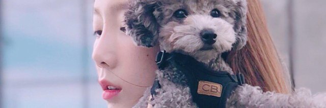 Taengoo_zero's profile banner image