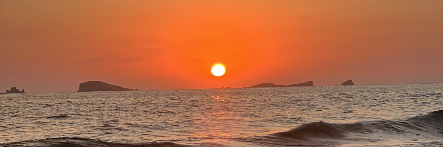 Dante Federico banner