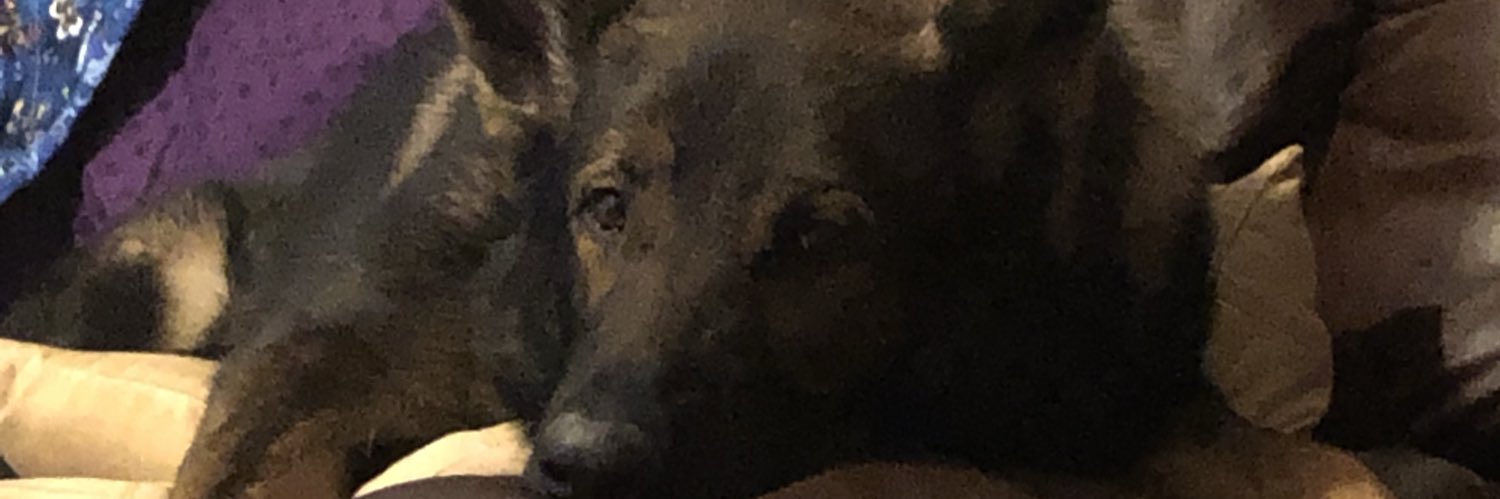 Bob M Rock jr banner