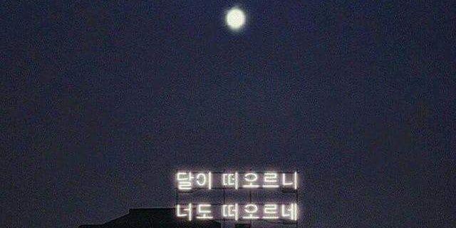 Rosnte's profile banner image