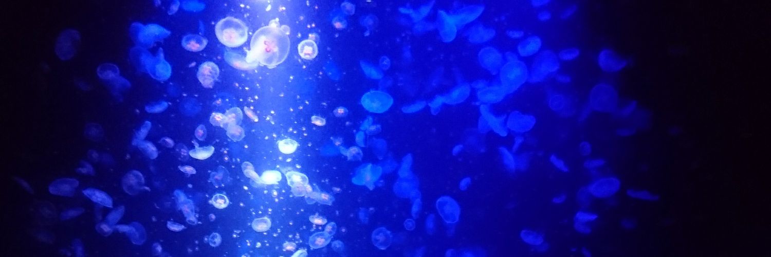 319Shinoyan's profile banner image