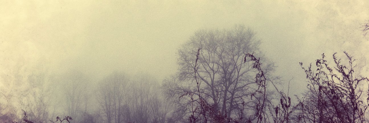 jimmenick's profile banner image
