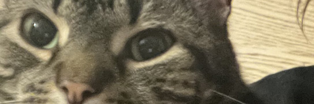 Blahzinski's profile banner image