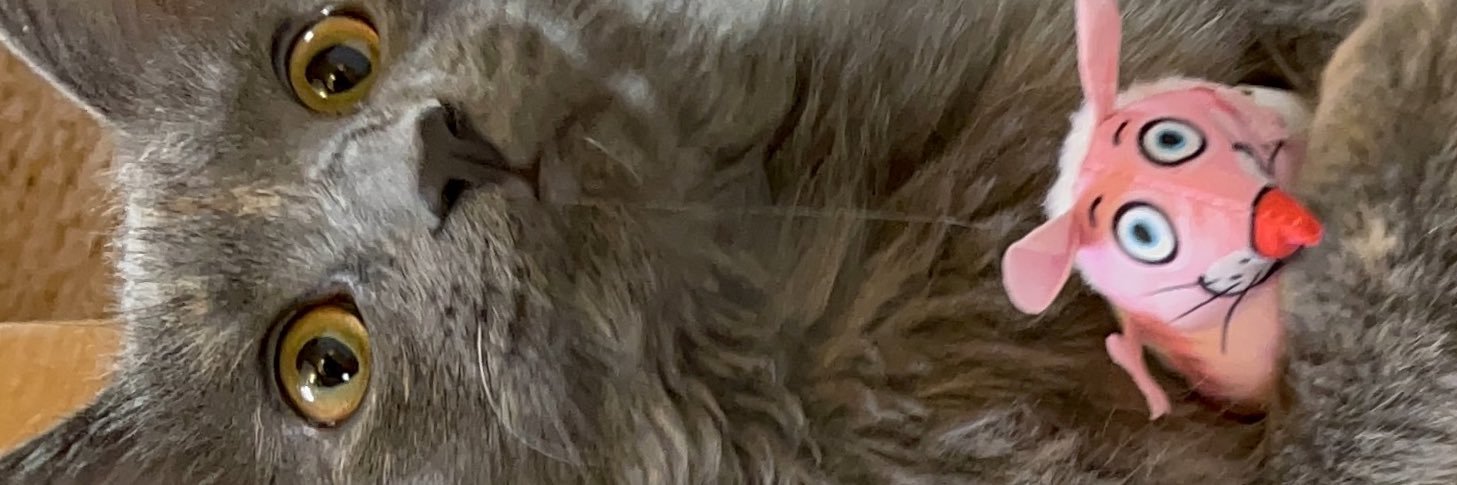jordanizzzhere's profile banner image