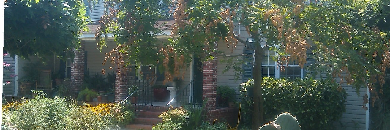 cmwva's profile banner image