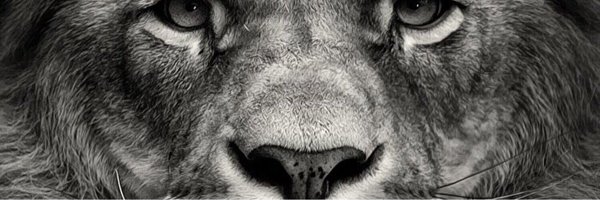 ag_gate3 Profile Banner