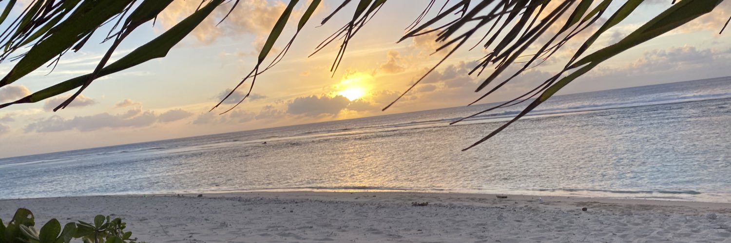 arterojeanann's profile banner image