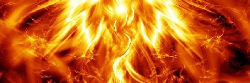 erlechuga's profile banner image
