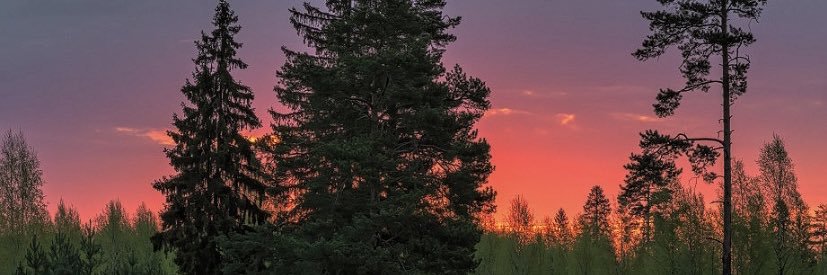 rosanabadeva's profile banner image