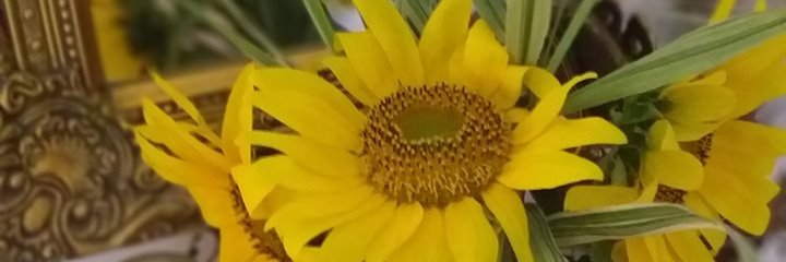 Suzi Jovanovic banner
