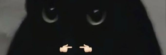 meltazr's profile banner image
