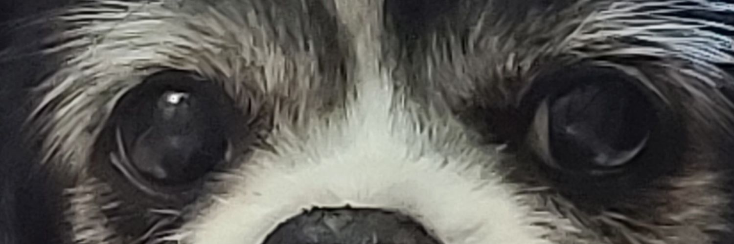 johnbacchetti's profile banner image