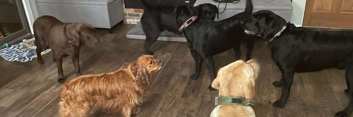 CuddAaron's profile banner image