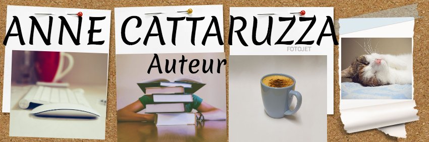 AnneCattaruzza's profile banner image