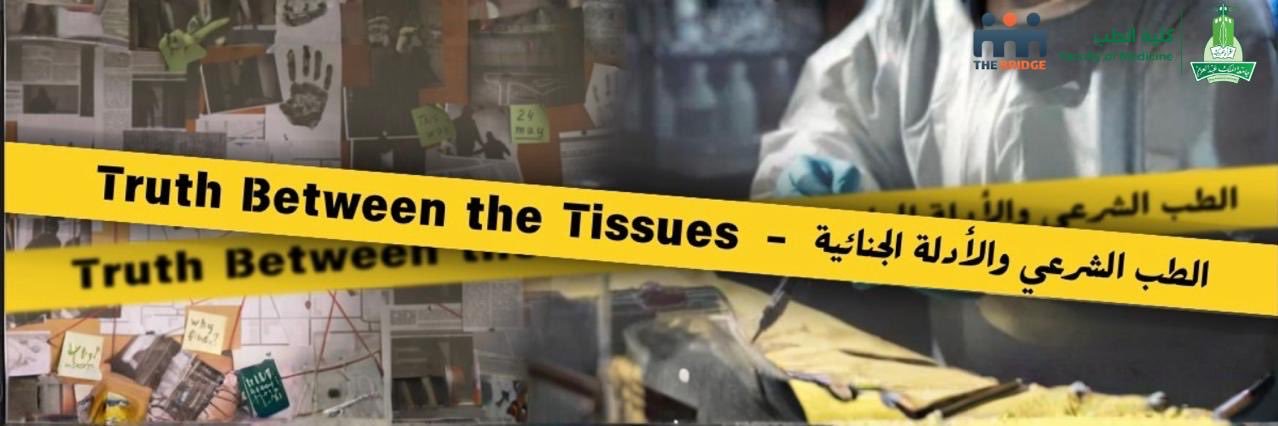 نادي الجسر | The Bridge banner