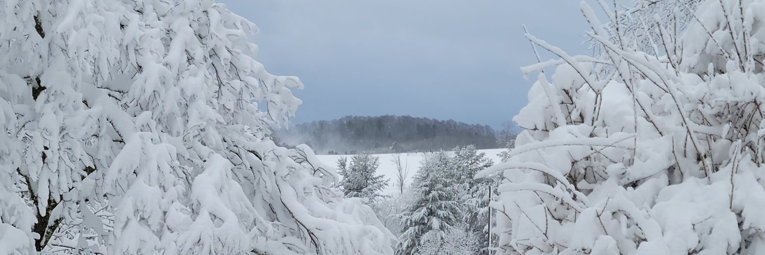 mw93548's profile banner image