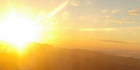 Claudia Urbaniski banner
