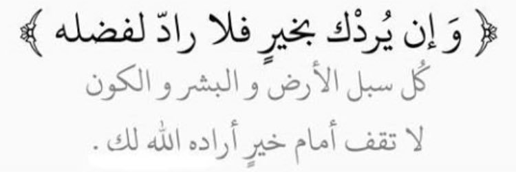 Abo Wael banner