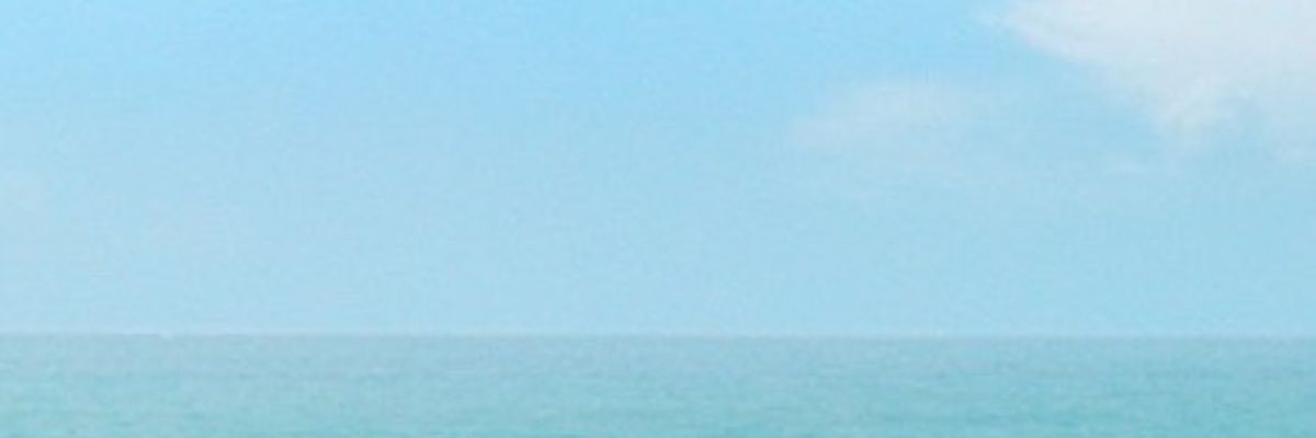 pantotaku's profile banner image