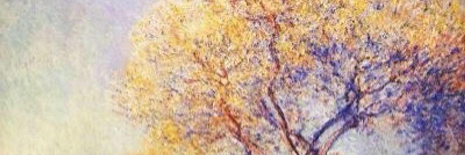 palharrys's profile banner image