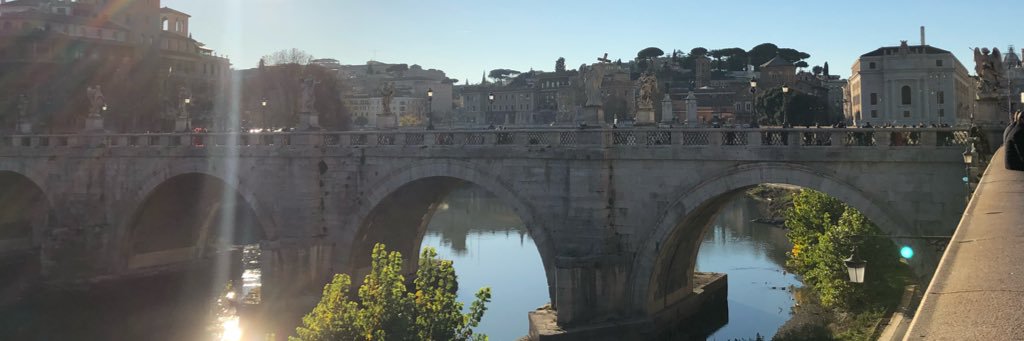 Alessandra Ianari banner