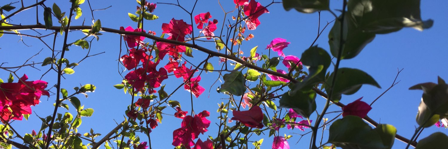 WordyWendi's profile banner image