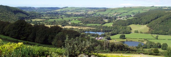 dbkell Profile Banner