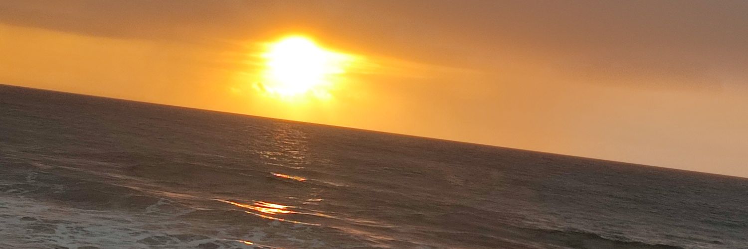 sandry_bm's profile banner image