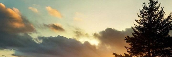 RaymondMayige's profile banner image