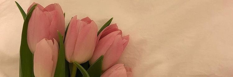 91ngl's profile banner image